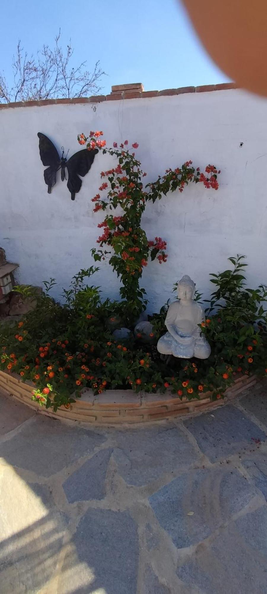 Casa Ceratonia Bed & Breakfast Alora Eksteriør bilde